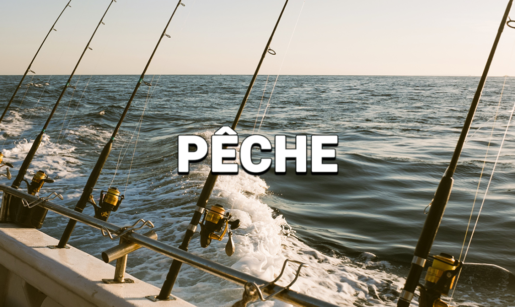 pêche1